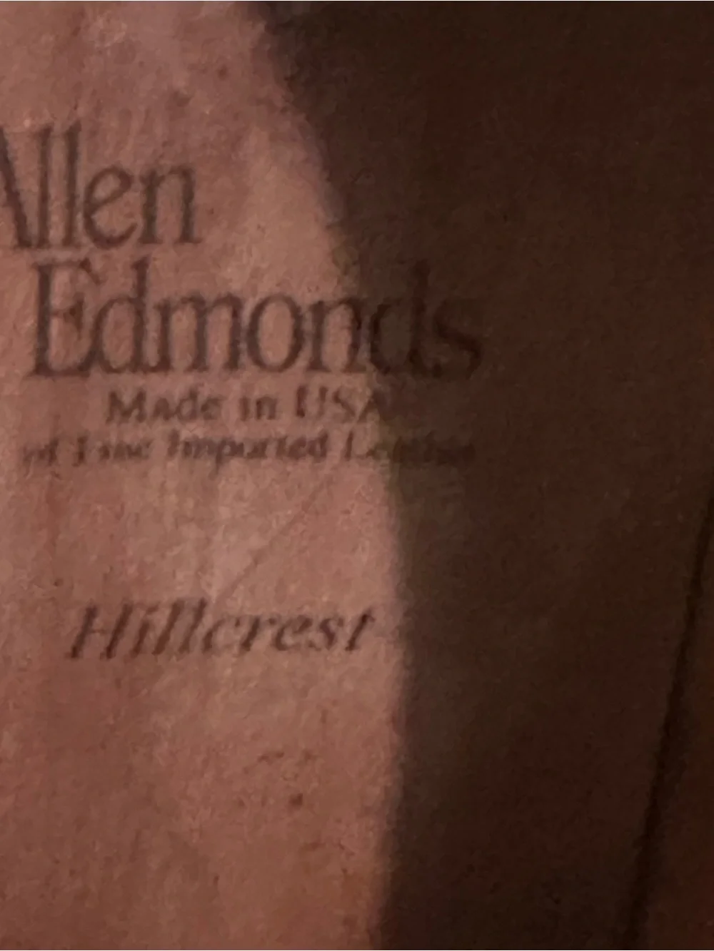 Allen Edmonds these shoes